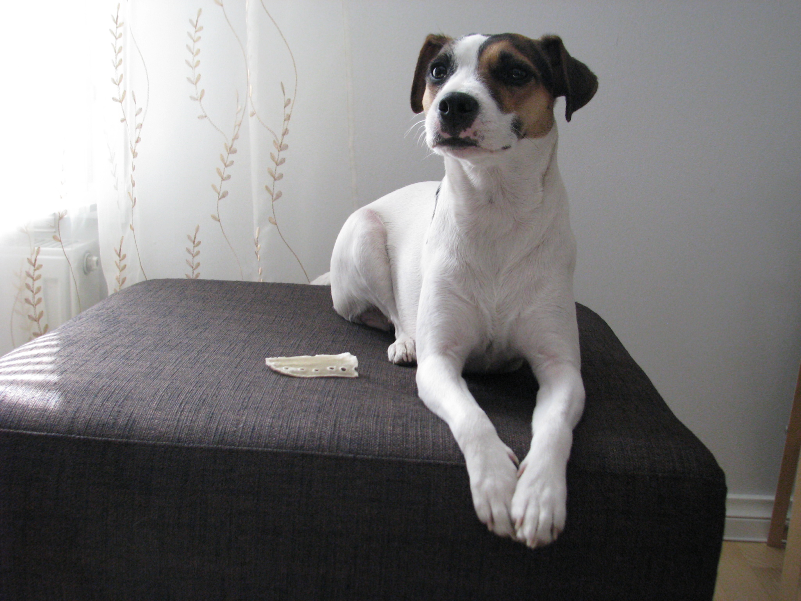 person holding smartphone and laptop
